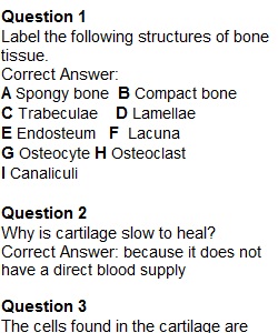 Quiz – Skeletal Tissues & Axial Skeleton